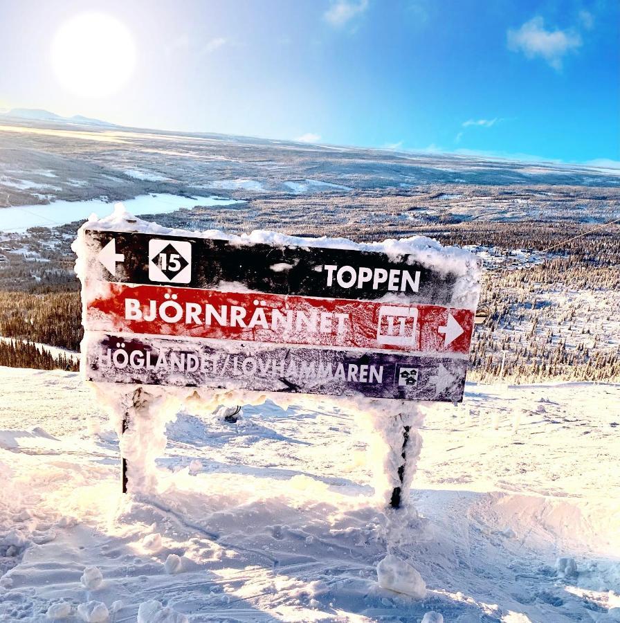 1125 Fjaellstugan Lofsdalen Exterior foto