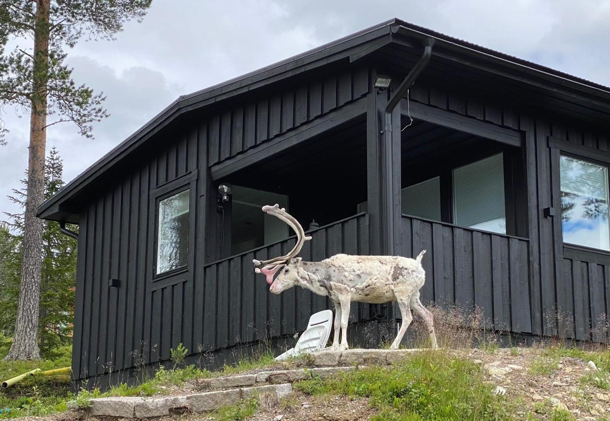 1125 Fjaellstugan Lofsdalen Exterior foto